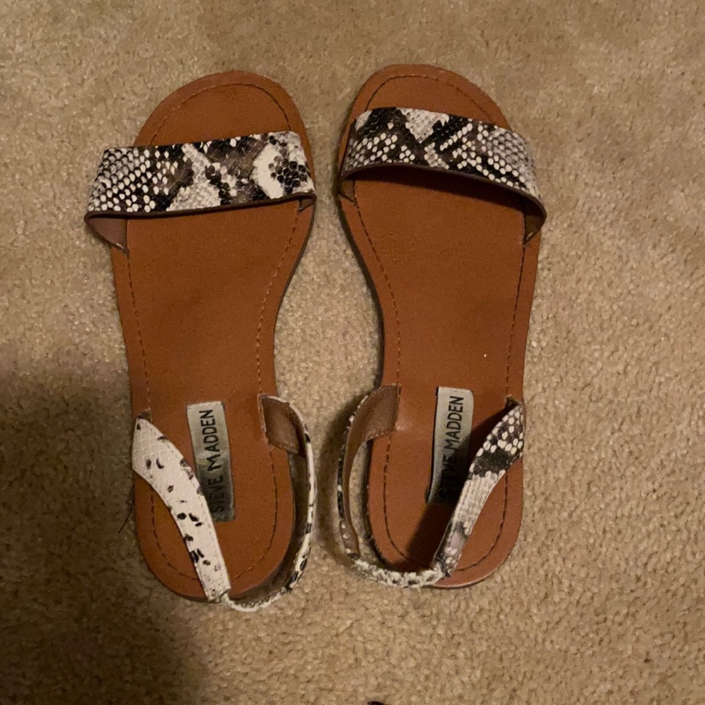 Steve Madden Alina snake sandal